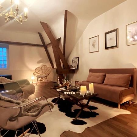 Grand Appartement Place Saint-Pierre, Proche Chateau De Saumur Et Bord De Loire" المظهر الخارجي الصورة