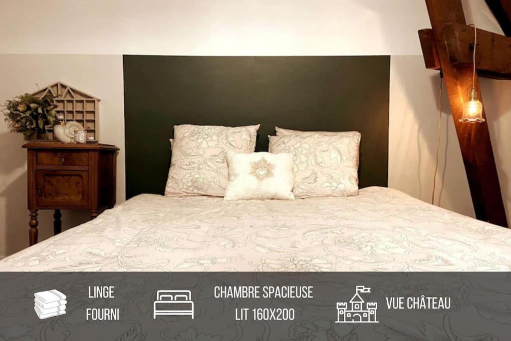 Grand Appartement Place Saint-Pierre, Proche Chateau De Saumur Et Bord De Loire" المظهر الخارجي الصورة
